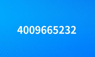 4009665232