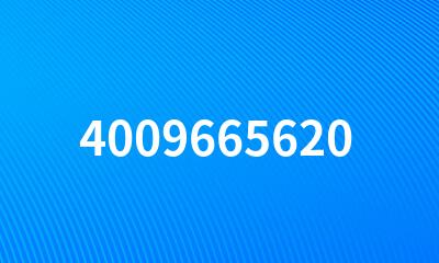 4009665620