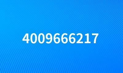 4009666217