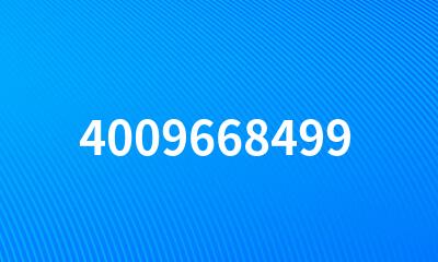 4009668499