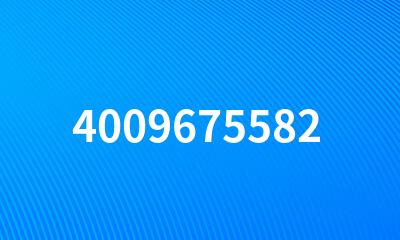 4009675582