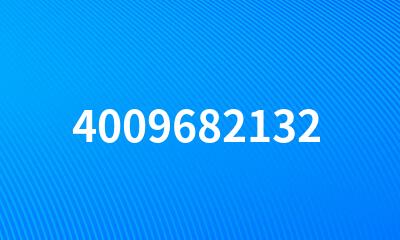 4009682132