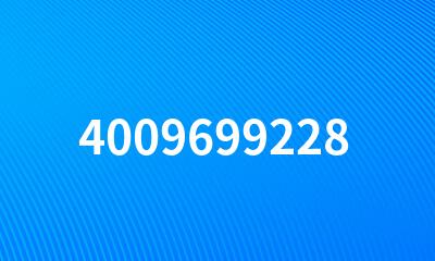 4009699228