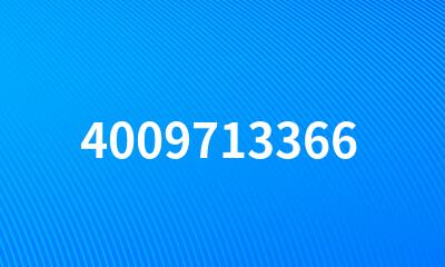 4009713366