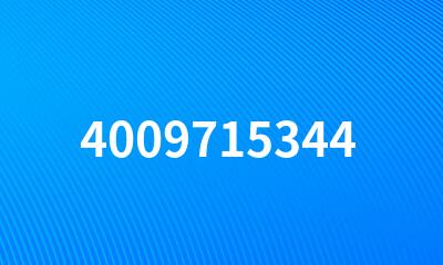 4009715344