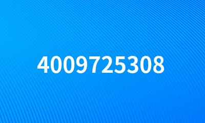 4009725308