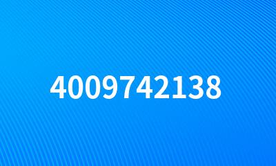 4009742138