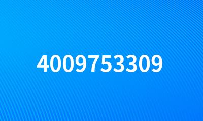 4009753309