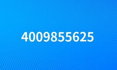 4009855625