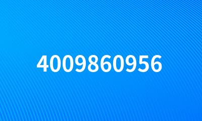 4009860956