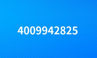 4009942825