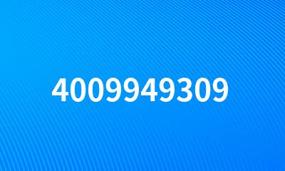 4009949309