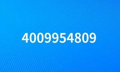 4009954809