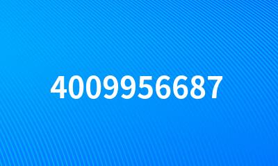 4009956687