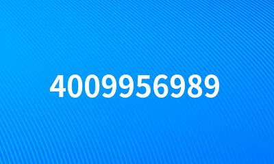 4009956989