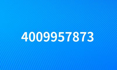 4009957873