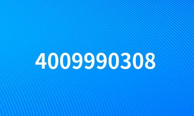 4009990308